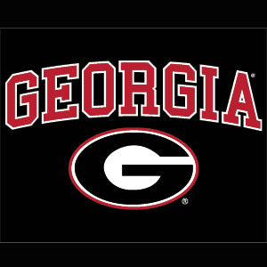 University of Georgia Collegiate Text Xbox 360 (Includes HDD) Skin